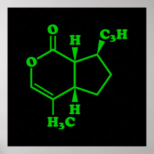 Póster Catnip Nepetalactona Fórmula Química Molecular