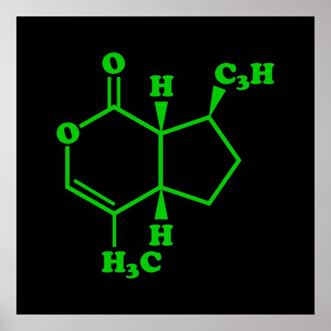 Póster Catnip Nepetalactona Fórmula Química Molecular (Frente)