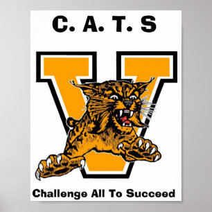 PÓSTER CATS
