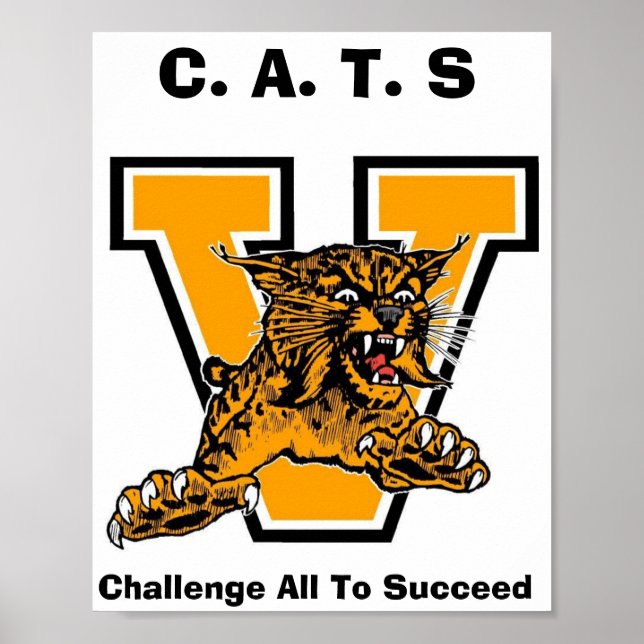 PÓSTER CATS (Frente)
