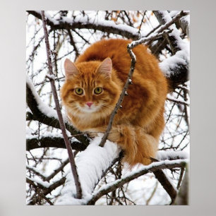 Póster cats_and_snow_ (14)