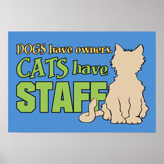 Póster CATS HAN poster personalizado DE PERSONAL (Frente)