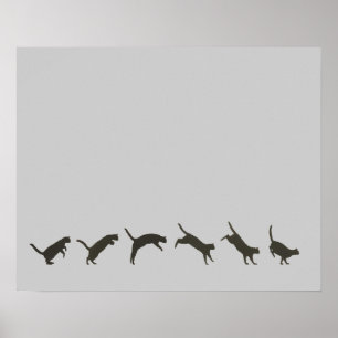 Póster Cats Jumping