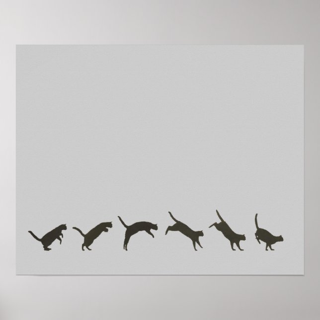 Póster Cats Jumping (Frente)