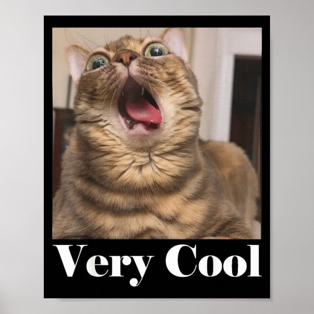 Póster Cats Meme Graphic Silly Cat Humor Funny Cat Very C (Frente)