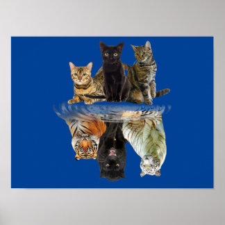 Póster Cats Reflection Friend Cat Lovers Cute Tiger