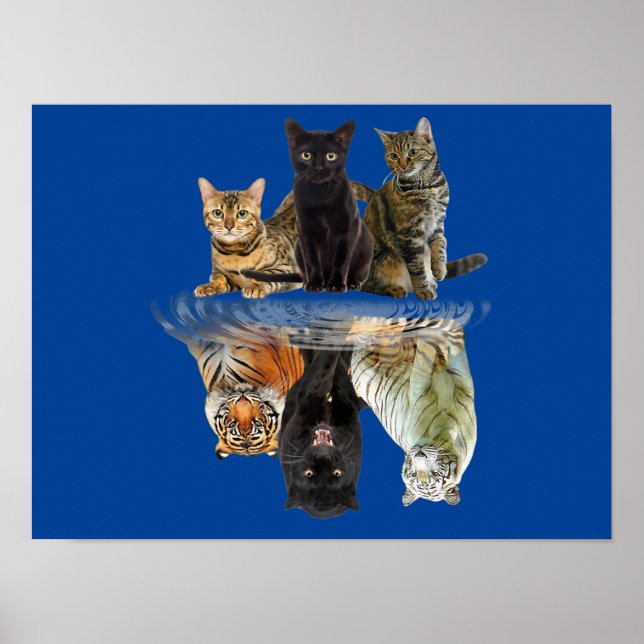 Póster Cats Reflection  Friend Cat Lovers Cute Tiger (Frente)