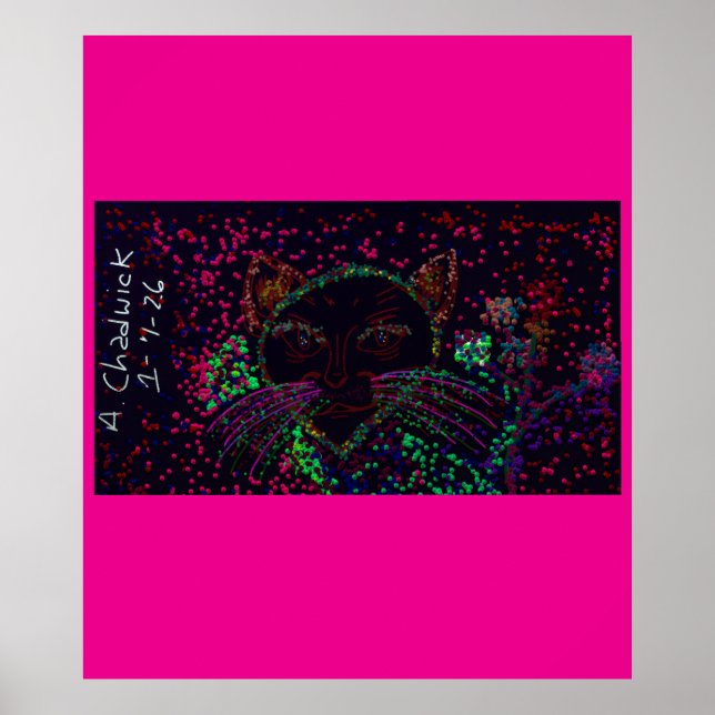 Póster Cat's Wonderland Poster (Frente)