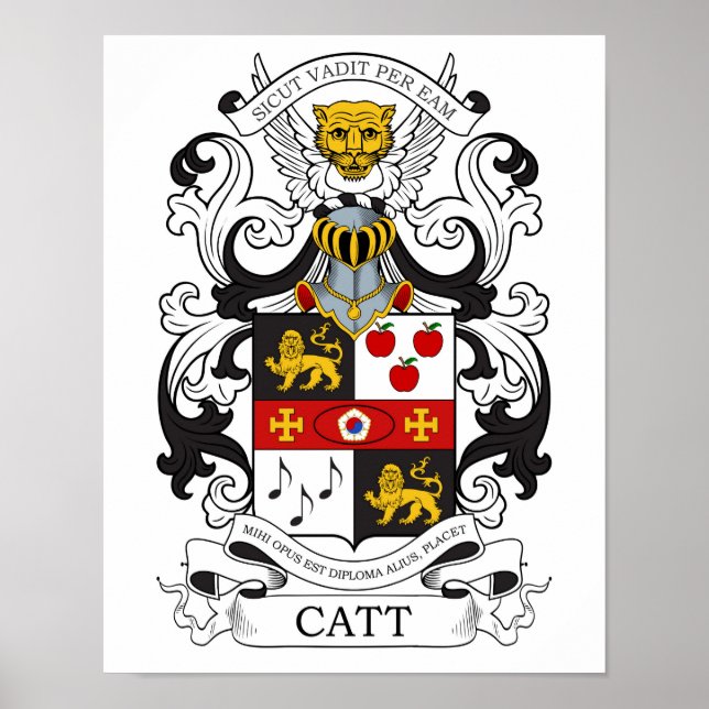 Póster Catt Final 2 (Frente)