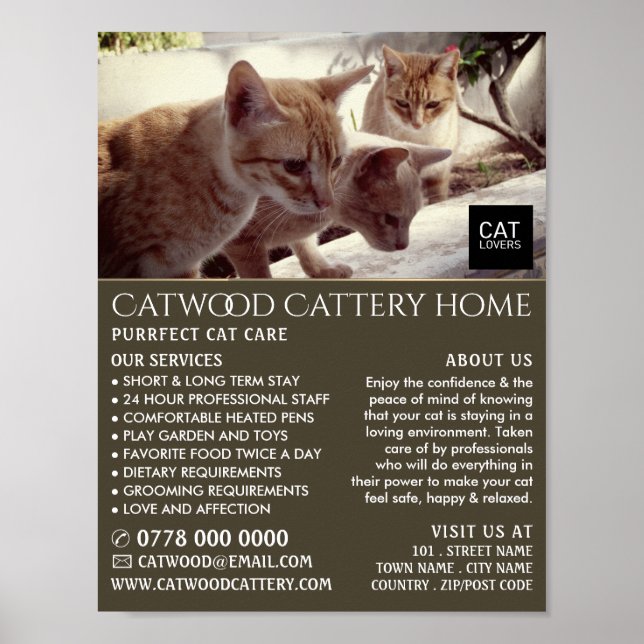 Póster Cattery, Mascota Boarding Service, Publicidad (Frente)