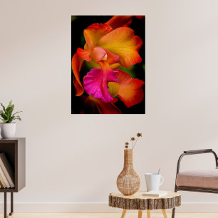 Póster Cattleya Orchid Portrait