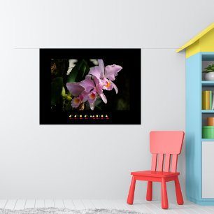 Póster Cattleya Orchid Poster