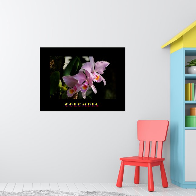 Póster Cattleya Orchid Poster (Guardería 1)