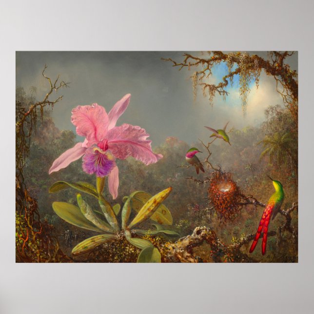 Póster Cattleya Orchid y tres Hummingbirds Heade (Frente)