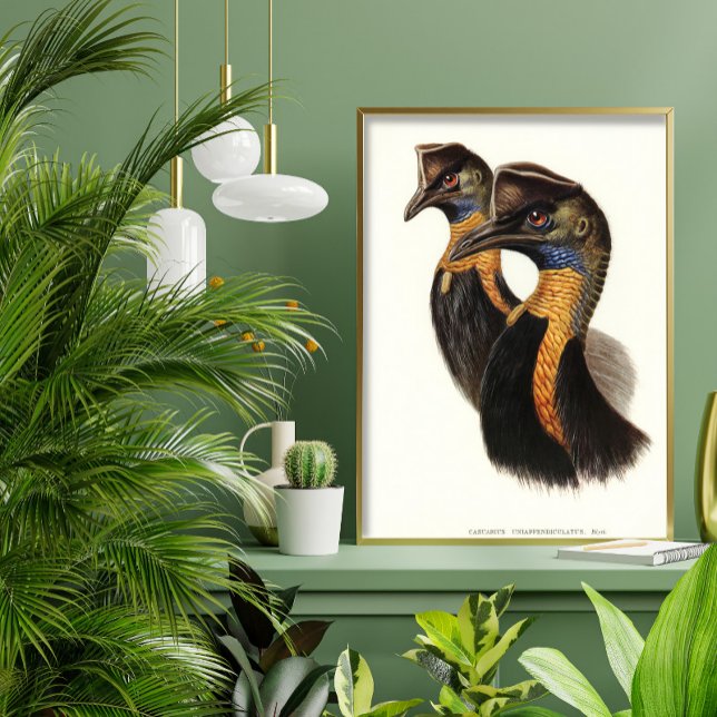 Póster Causas del norte, aves de cosecha (Subido por el creador)