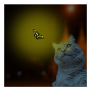 Póster Cautivado por la belleza: gato mesmerizado por mar