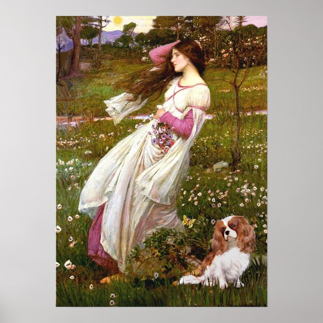 Póster Cavalier 2 (Bl) - Windflowers (Frente)