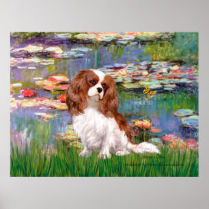Póster Cavalier 2 (blenheim) - Lilies 2