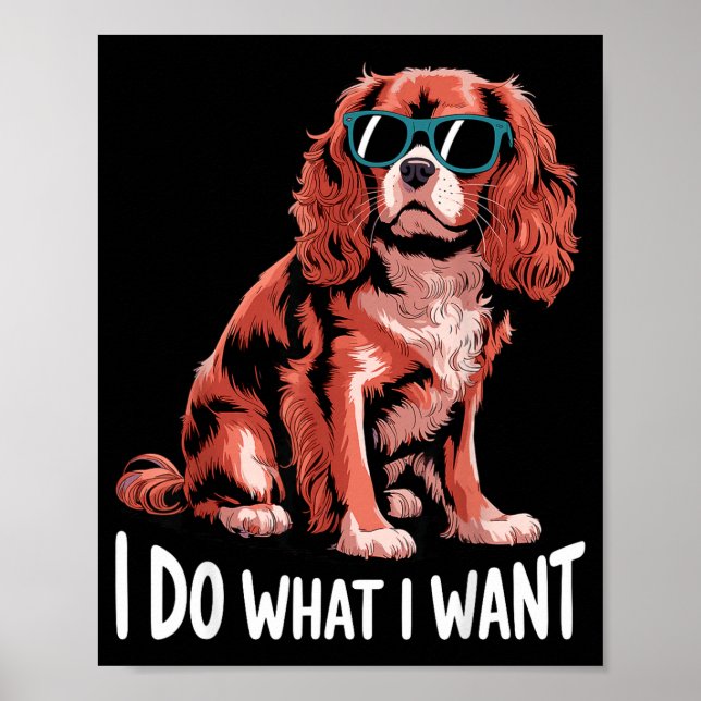 Póster Cavalier King Charles Art For Men Women Cavalier S (Frente)