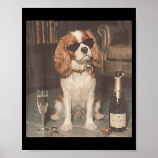 Póster Cavalier King Charles bebiendo champán divertido