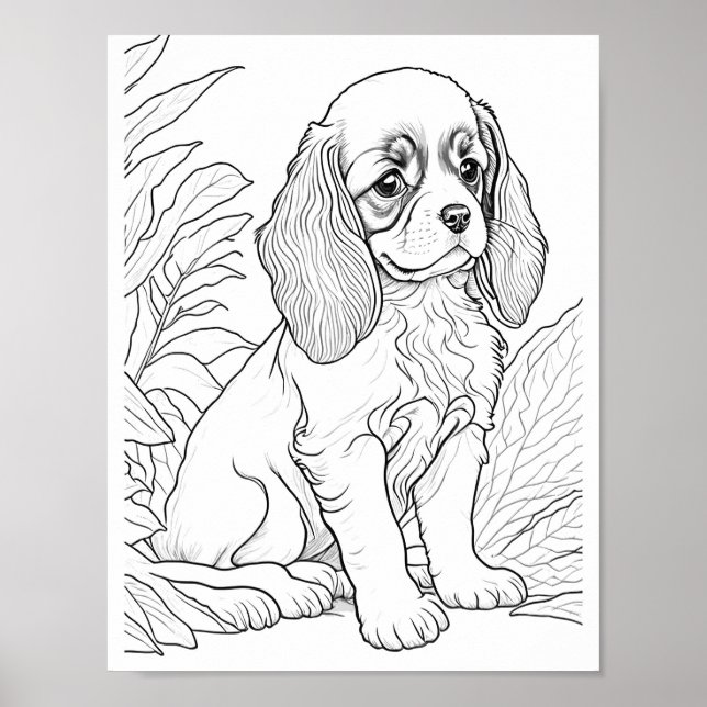 Póster Cavalier King Charles Dog Coloraje para adultos (Frente)