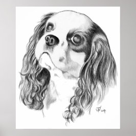 Póster Cavalier King Charles Spaniel