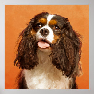 Póster Cavalier King Charles Spaniel