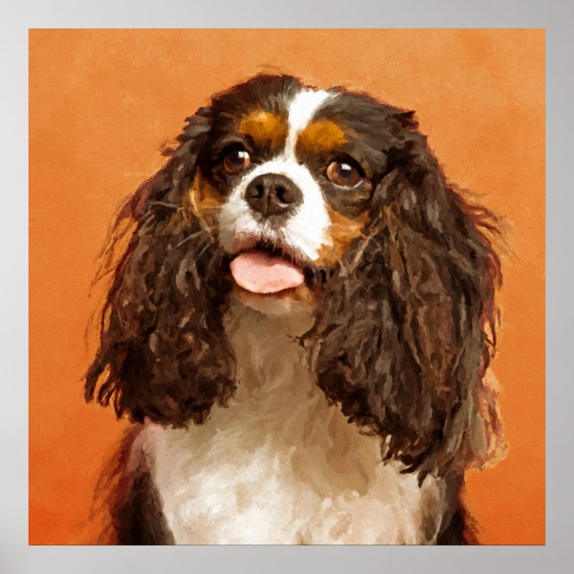 Póster Cavalier King Charles Spaniel (Frente)