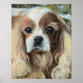 Póster Cavalier King Charles Spaniel