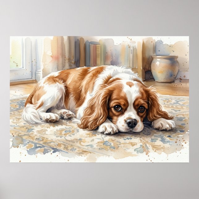 Póster Cavalier King Charles Spaniel acostado acuarela (Frente)
