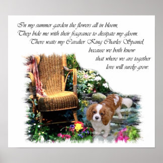 Póster Cavalier King Charles Spaniel Art