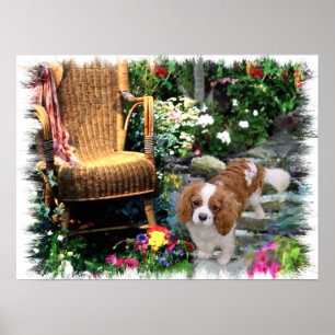 Póster Cavalier King Charles Spaniel Art