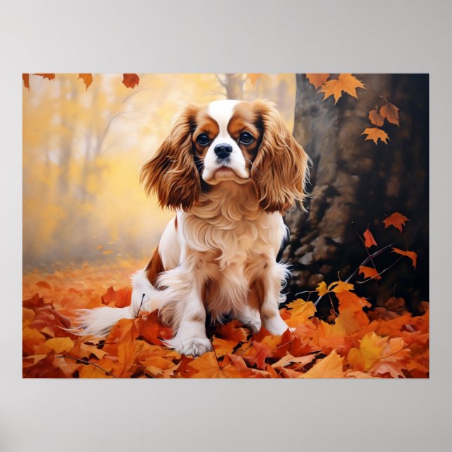 Póster Cavalier King Charles Spaniel Blenheim (Frente)
