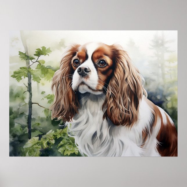 Póster Cavalier King Charles Spaniel Blenheim (Frente)