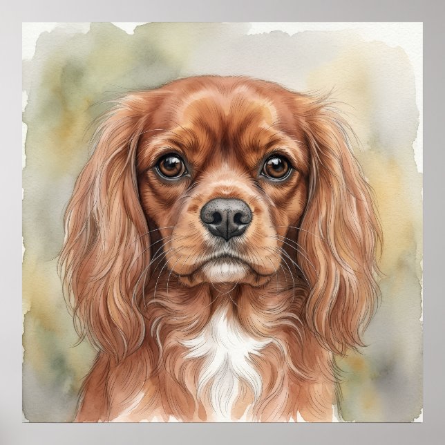 Póster Cavalier King Charles Spaniel Close-Up Acuarela (Frente)