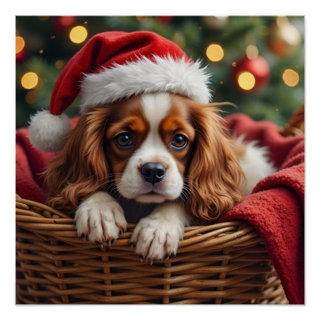 Póster Cavalier King Charles Spaniel Cozy Basket (Anverso)