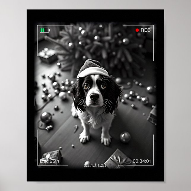 Póster Cavalier King Charles Spaniel de Navidad Pillado E (Frente)