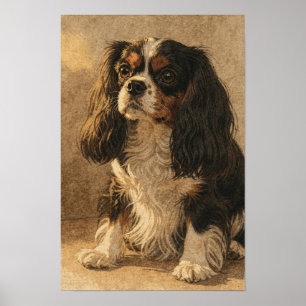 Póster Cavalier King Charles Spaniel en Tinta y Lino