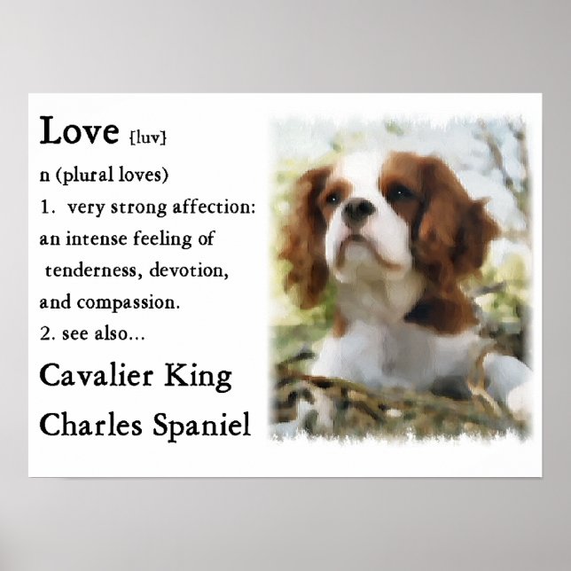 Póster Cavalier King Charles Spaniel Gifts (Frente)