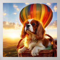Cavalier King Charles Spaniel montando un globo ae
