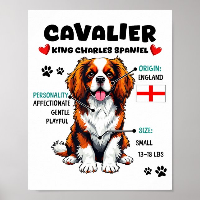 Póster Cavalier King Charles Spaniel Owner Funny Dog Love (Frente)