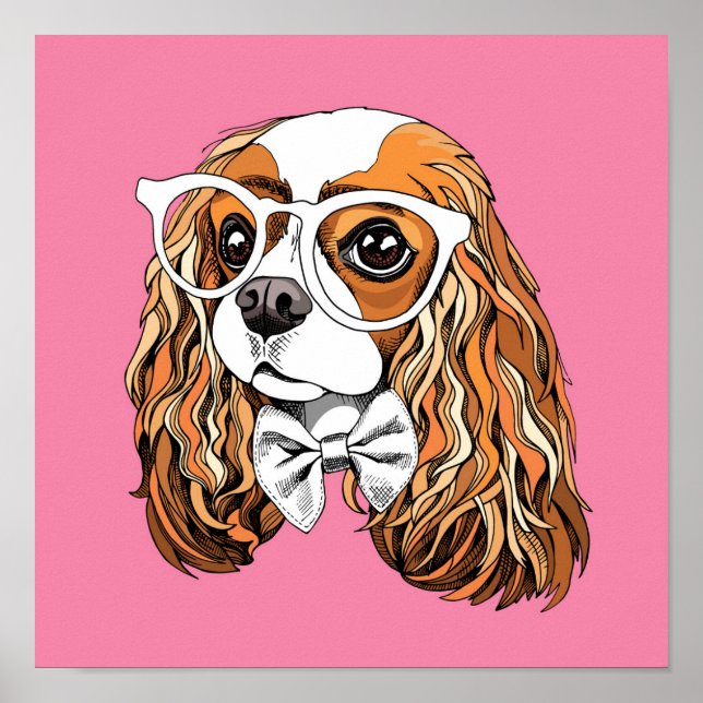Póster Cavalier King Charles Spaniel Portrait (Frente)