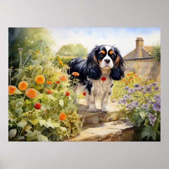 Póster Cavalier King Charles Spaniel Tricolor (Frente)