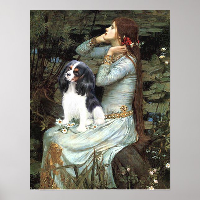 Póster Cavalier King Charles (tri color) - Ofelia Sentada (Frente)