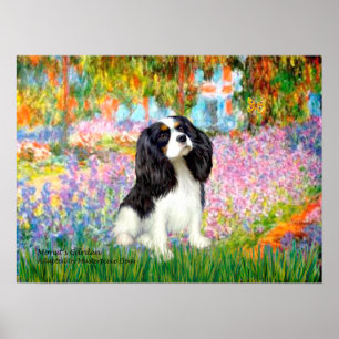 Póster Cavalier King Charles (tricolor) - Jardín