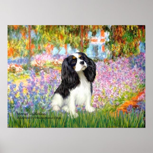 Póster Cavalier King Charles (tricolor) - Jardín (Frente)