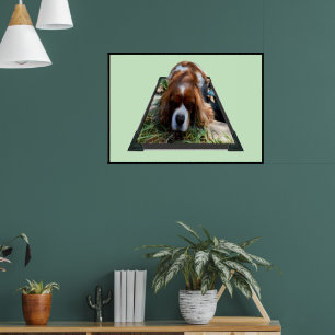 Póster Cavalier Sooky Face Spaniel