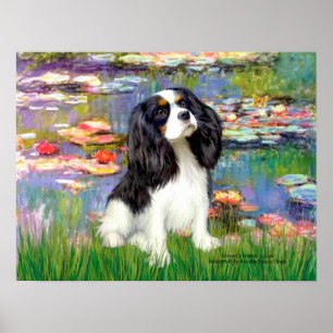 Póster Cavalier (Tri Colored 5) - Lilies 2