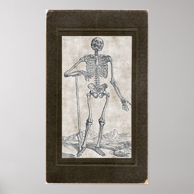 Póster Cavar a su propio Poster de tumbas (Frente)