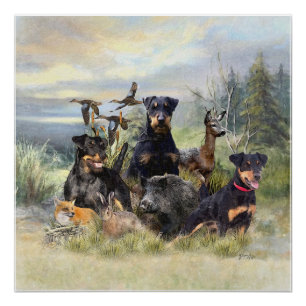 Póster Caza con Jagdterriers , arte